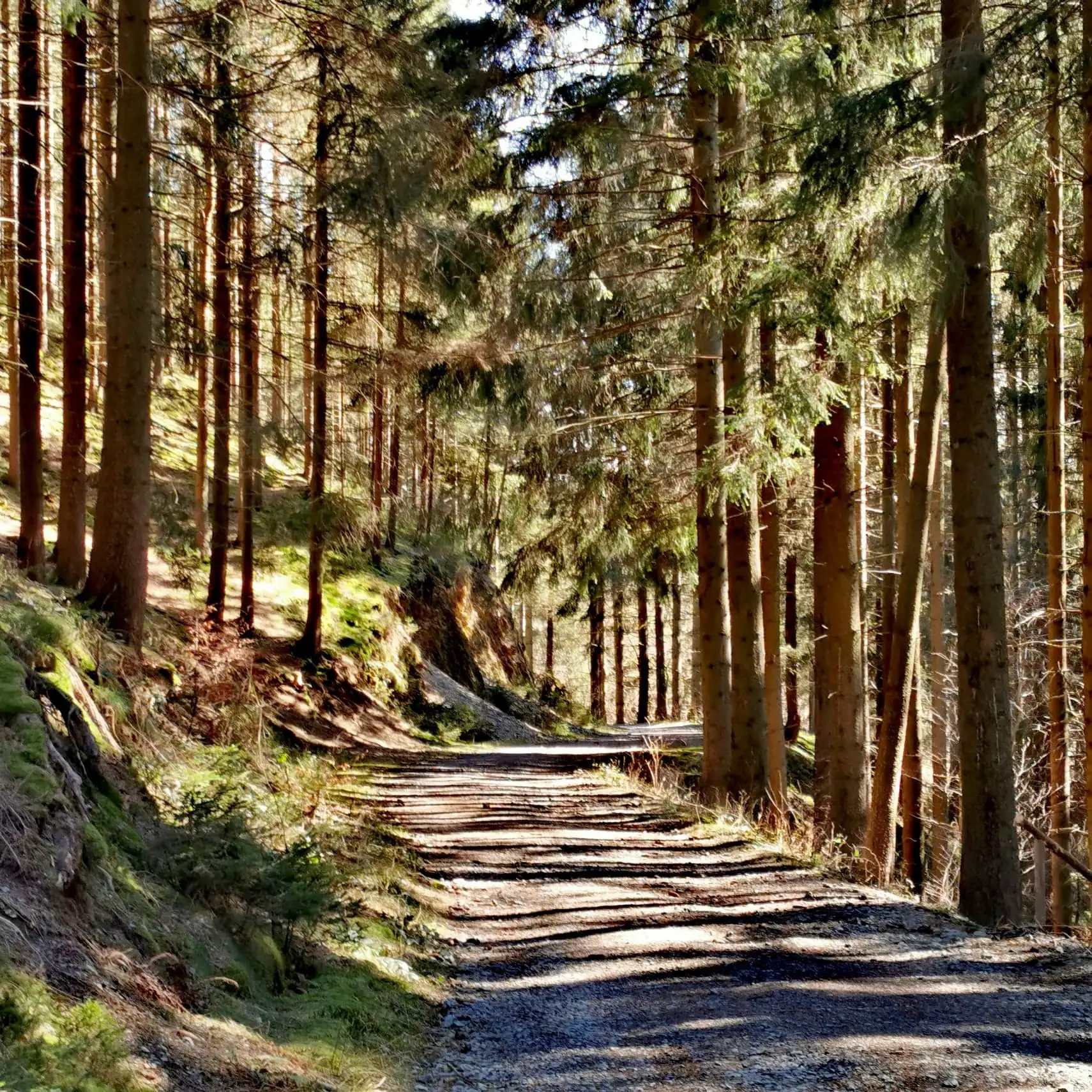 Cottage for 4 people in Malmedy Le Chalet du Tchession